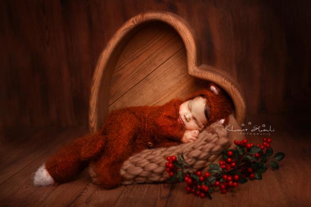 Fotografia de bebé raposa